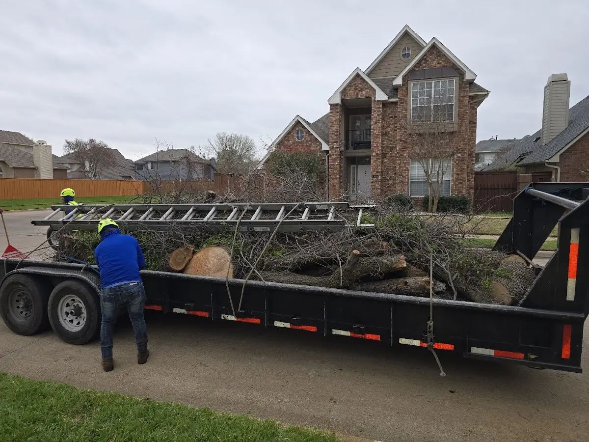 Expert Tree Pest Control with proper safety equipment in Lynnfield
